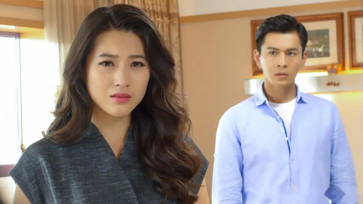 《大嫁风尚》夏燃和金志豪费尽周折帮助了顾晓曼找回自我找回真爱!