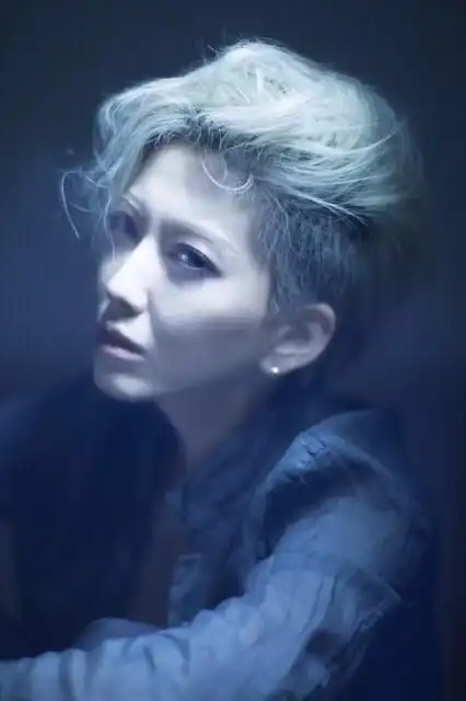 刘忻图片女歌手刘忻写真图片