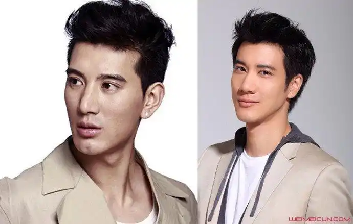 蒲巴甲王力宏对比照