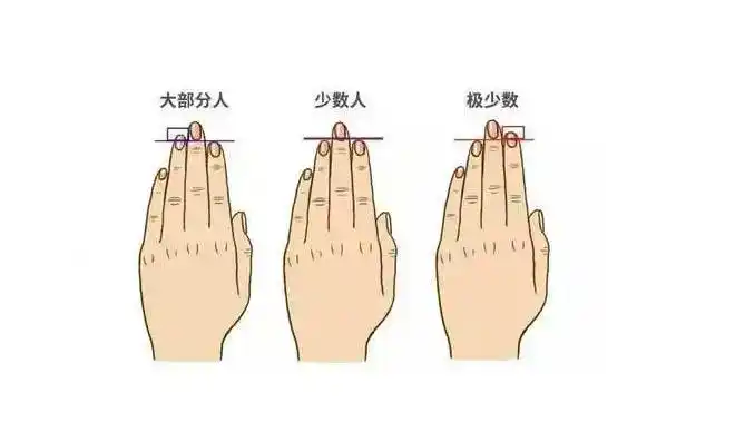一个人是否容易焦虑,看手指长度便知?-中国健康
