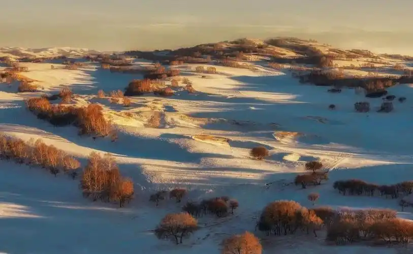 冬天来临,当大雪覆盖了整个草原的春华秋实,起伏的丘陵被大雪覆盖
