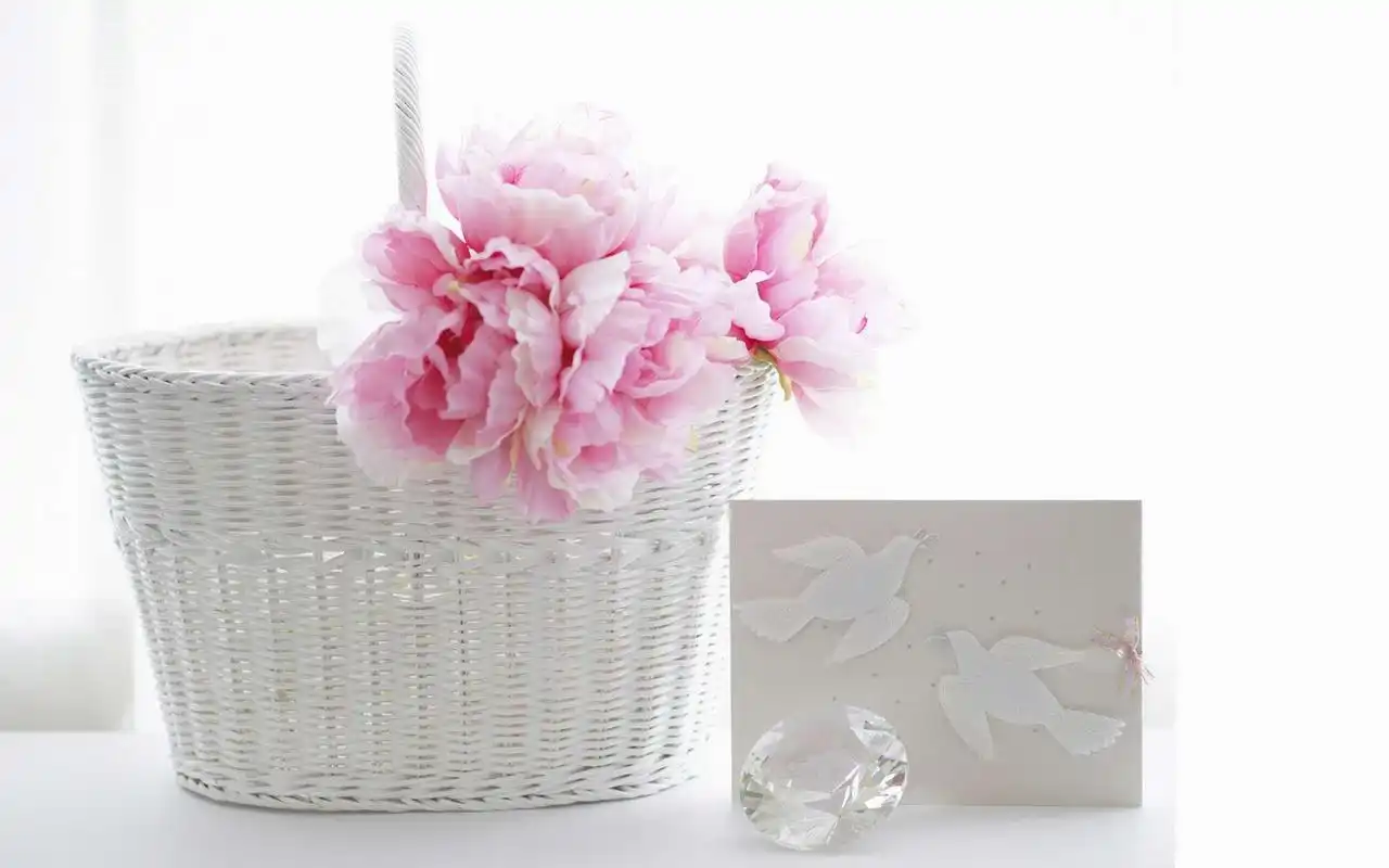 ins风简约花朵背景图壁纸#ins风# #壁纸# #背景##花朵