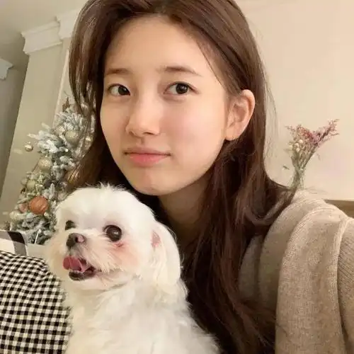 微信头像suzy裴秀智