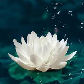 莲花香炉供佛禅意图片