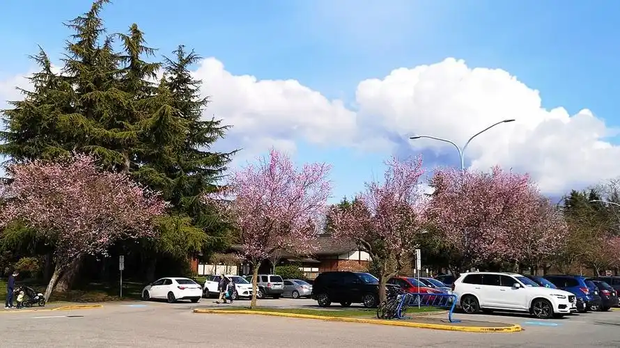 温哥华之旅------列治文