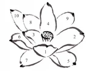 国画教程荷花画法