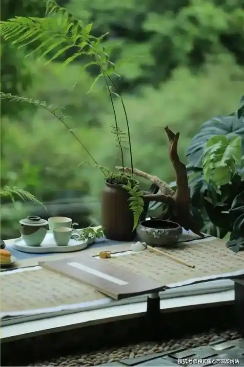 华侨城欢乐雨林合院,把日子种在小院的诗情里_生活_院中_意境