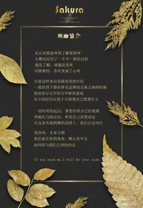 坤坤的应援曲,感谢@sakura_蔡徐坤安利站 . 来自winky同学 - 微博