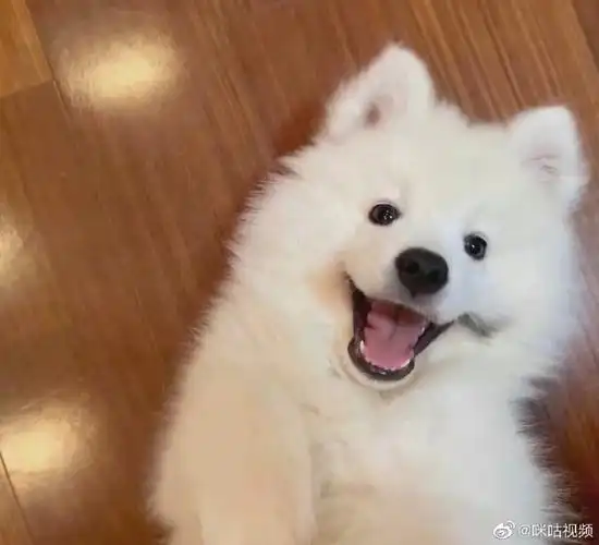 我的情敌竟然不是人##刘耀文篮球服