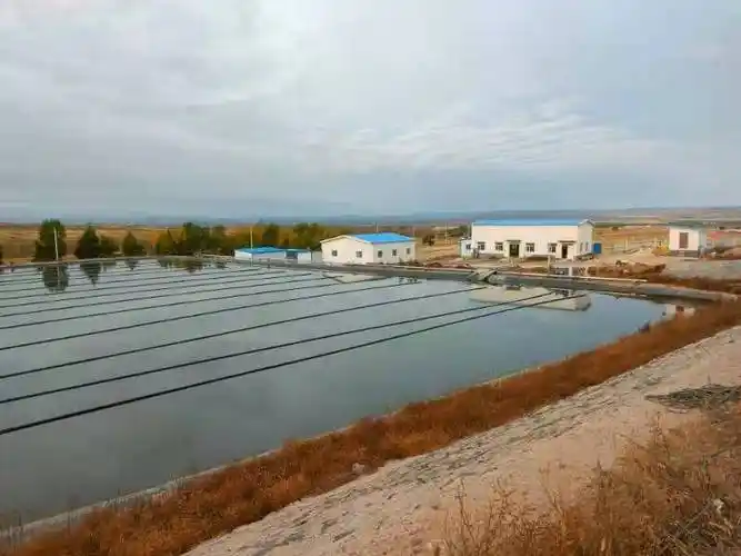 凯源环保小常识之宰鸭厂污水如何处理