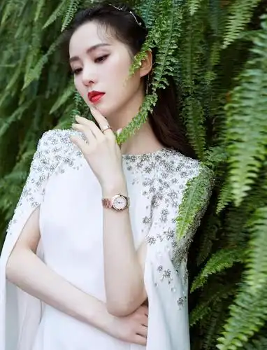 刘诗诗星钻长裙迷人写真