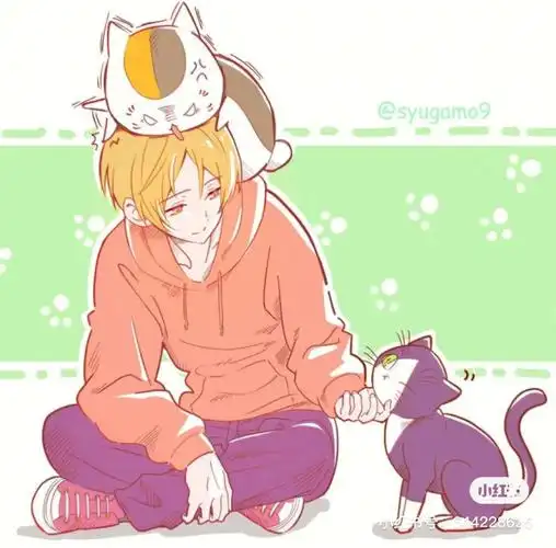 波吉波吉#夏目  #夏目友人帐  #夏目贵志  #夏目友人帐猫咪老师