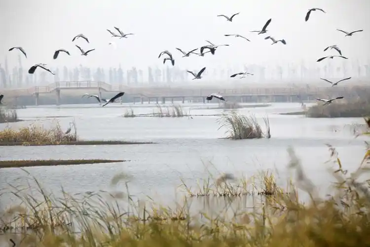 溧阳长荡湖国家湿地公园获正式授牌