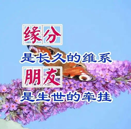 珍惜生命旅途与你相遇.真诚相待的每位朋友,珍惜这一生!