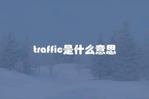 traffic是什么意思