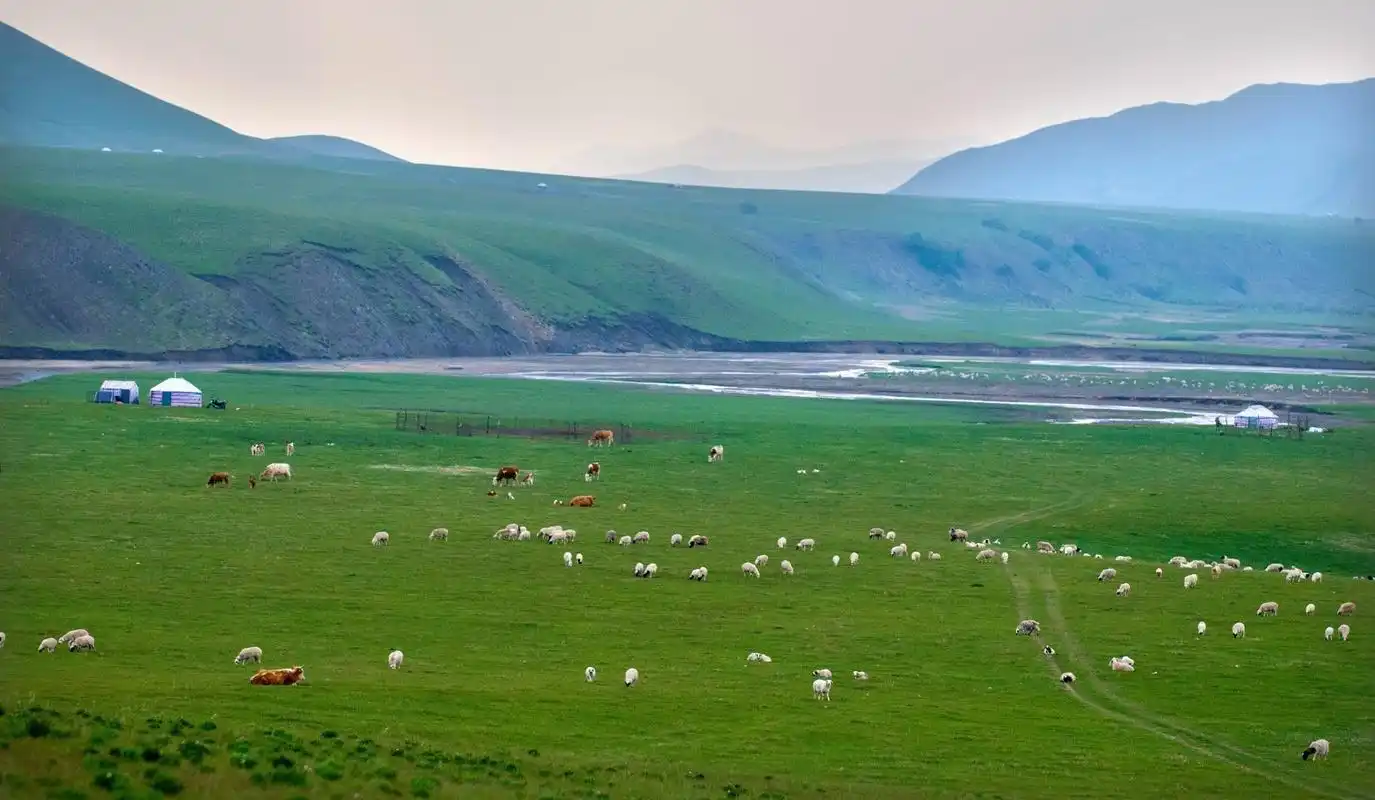 内蒙古阿鲁科尔沁草原游牧系统正式认定为全球重要农业文化遗产