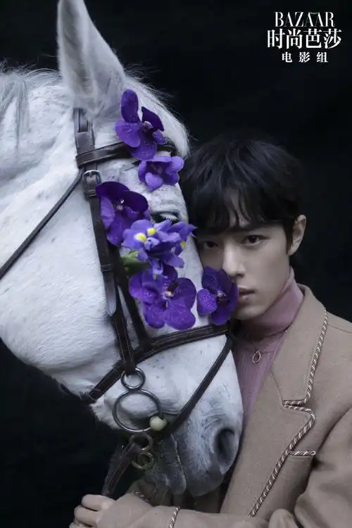 时尚芭莎|肖战 - 堆糖,美图壁纸兴趣社区