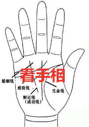 看痣手相面相看相算婚姻缘复合婚姻问事业财运考试学业子息健康