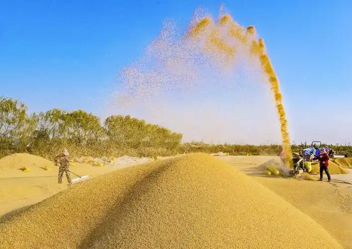 点赞盐城这项产业产值长三角中心区第一