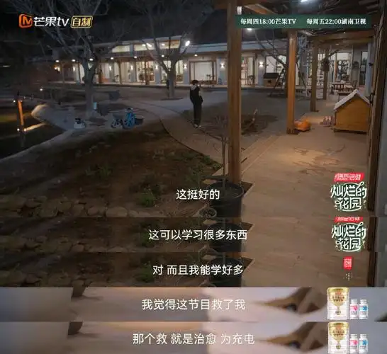 马嘉祺说灿烂的花园救了我##马嘉祺和爸爸打电话分享花园生活