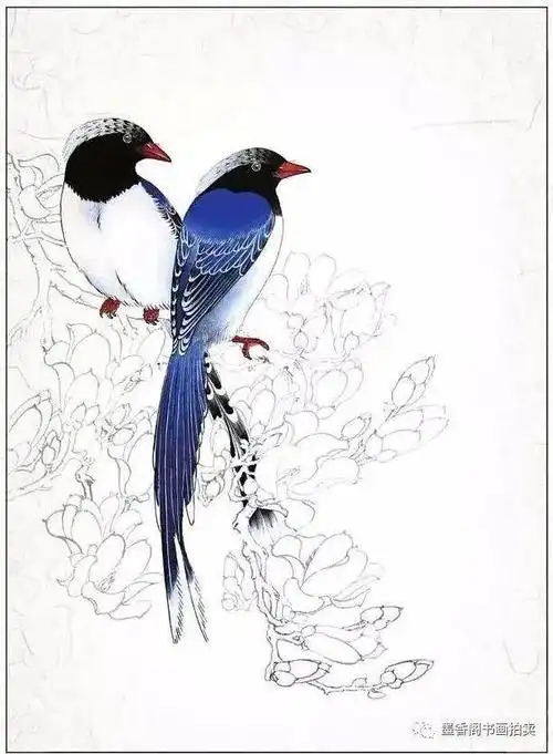 禽鸟工笔画教程分步骤讲解红嘴蓝鹊的工笔画法简单易学收藏