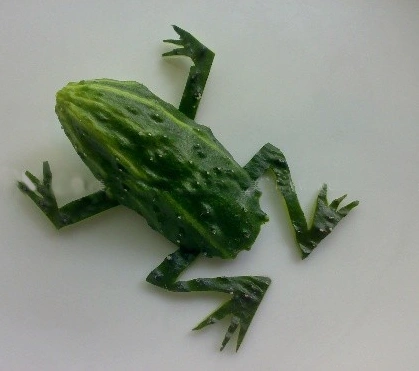 黄瓜制作小动物图片