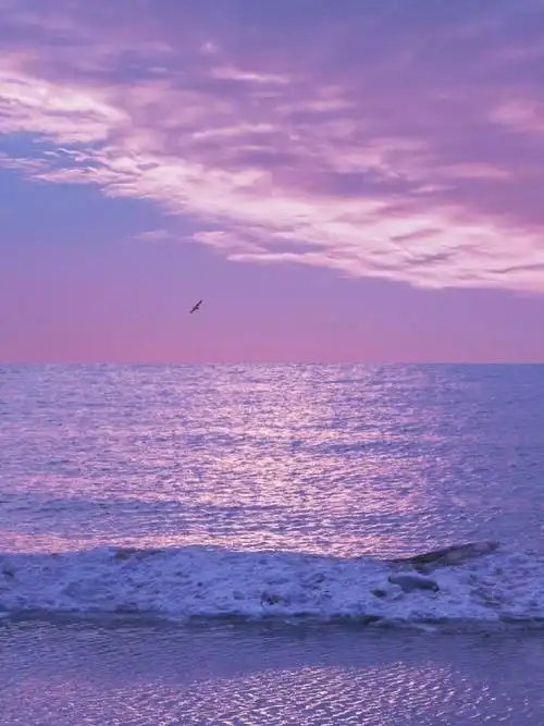 早安心语精彩语句阳光早上好文案配图有品位的个性语录