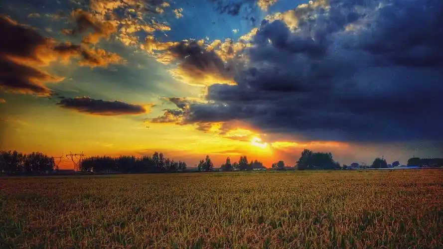 观中秋稻田晚霞有感