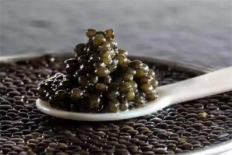 鲟鱼鱼子酱加盟费多少钱_鲟鱼鱼子酱加盟店_鲟鱼鱼子酱投资费用/加盟