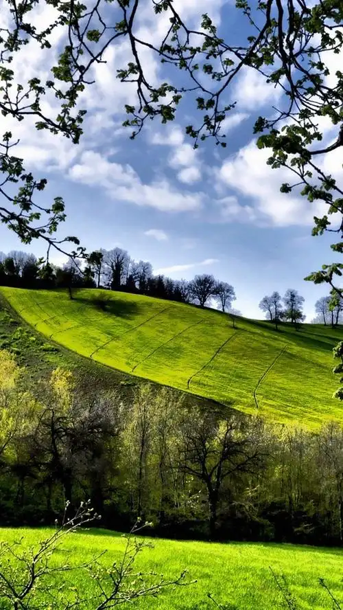 首页 自然与风景 春天