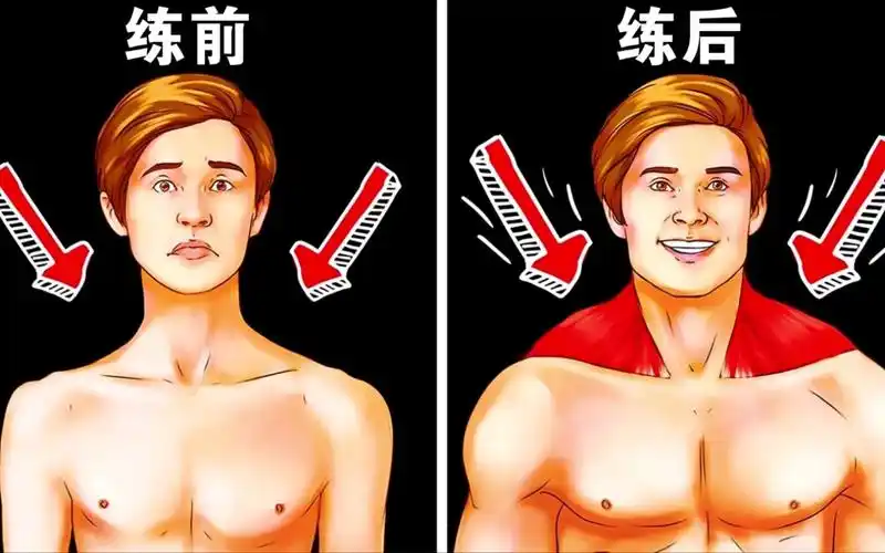 斜方肌上中下部锻炼方法详解,学会这6个动作轻松拿下斜方肌!