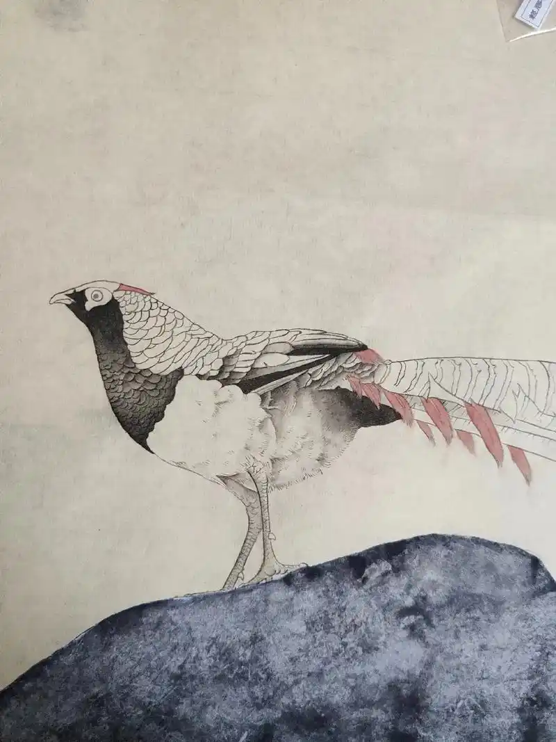 国画 #画画 小鸟 - 抖音