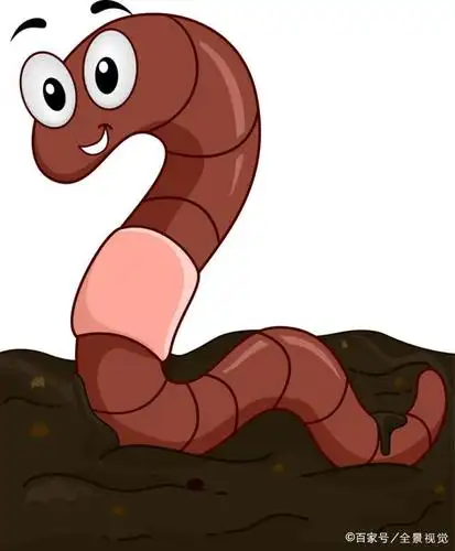 一条小蚯蚓的控诉:人类残忍的"电蚯蚓"让我失去了家园!