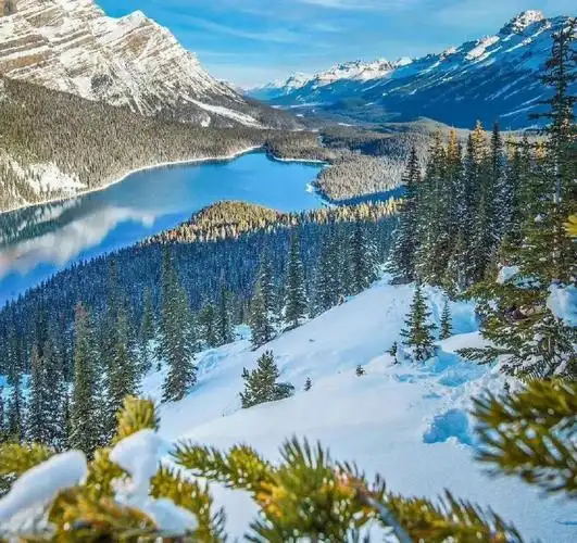 加拿大阿尔伯塔省的冬季