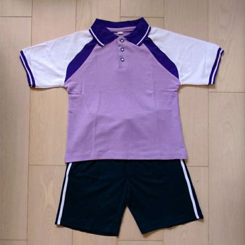 大连市普兰店市小学生夏季校服纯棉紫色短袖短裤套装英伦款运动服