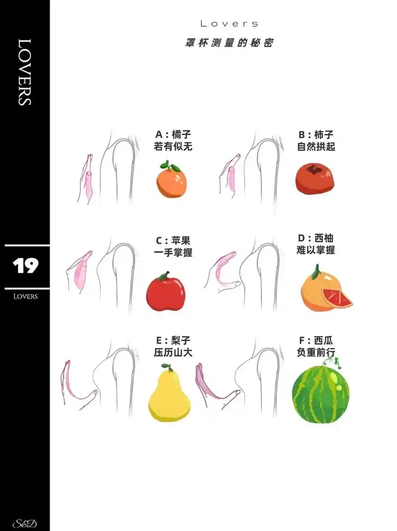 公主们 手把手教你测胸围 快小笔记记好.#女生必备 #女生必 - 抖音