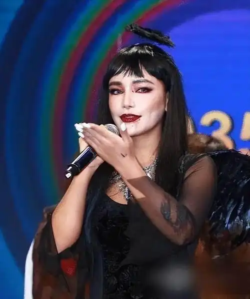 心酸|歌曲|江映蓉|丁太升|李霄云|谭维维|尚雯婕|音乐才华_网易订阅