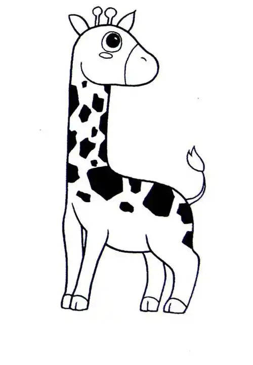 画长颈鹿长颈鹿简笔画手绘教程