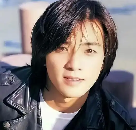 郑伊健和刘德华一样,也是香港男演员兼歌手,他的祖籍是广东恩平.