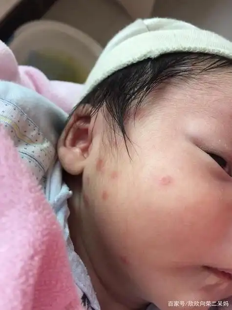 九成人不知蚊子天敌是啥用1个笨招数能有效驱赶蚊子