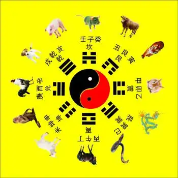 十二生肖八卦 180*180厘米