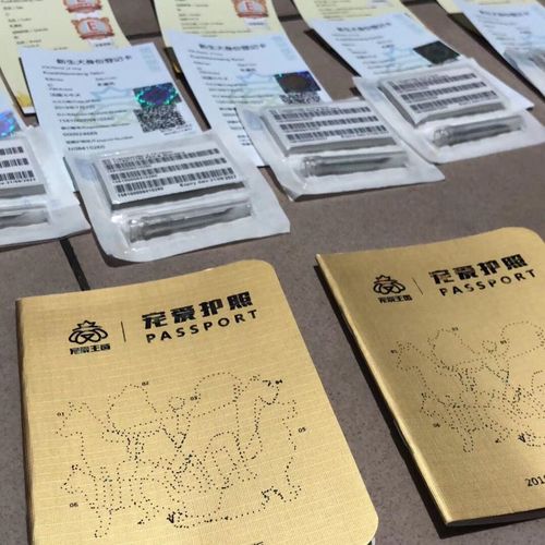 宠物犬证cku芯片证书血统证书出身纸狗证护照登记卡鉴定证书