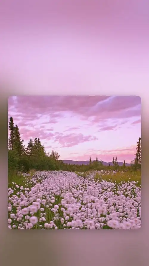 唯美风格摄影个性创意手机壁纸图片