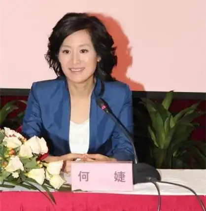 林海老婆,主持人何婕,本文共(3388字)