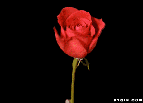 信任,最难得,谎言,最伤人!