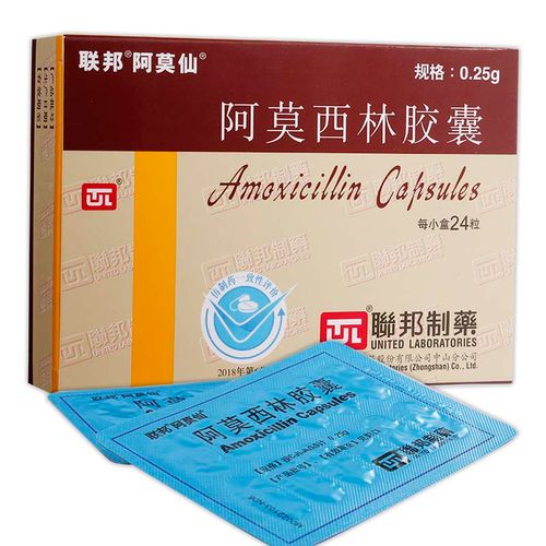 yqx阿莫仙阿莫西林胶囊025g24粒1盒装