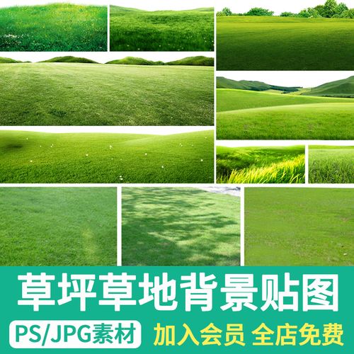 写实草坪草地草丛花境材质贴图psd景观效果图后期修图ps背景素材