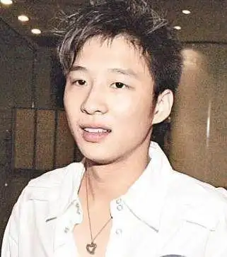 霍启山禁与嫩模交往内幕