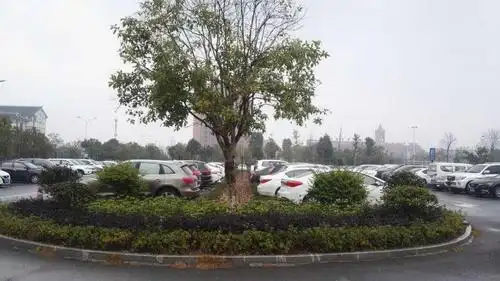 秀山县建成投用的首个生态停车场,采用"雨水花园 透水混凝土铺装停车