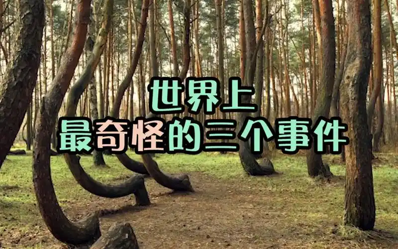 世界三大奇怪事件世界上最神奇的事情主人脑中风猫咪拨打电话报警就是